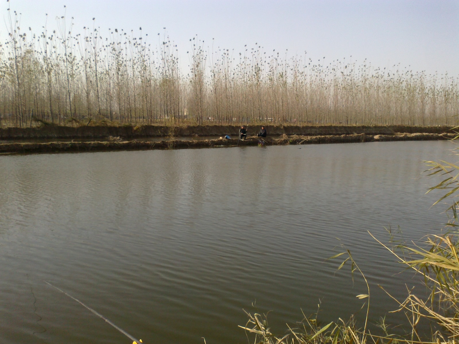 一位钓鱼人一般有几种饵料,钓鱼人的一生电影完整版