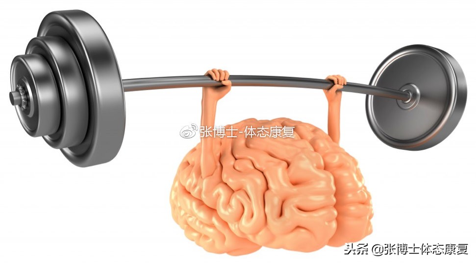 所有肌肉紧张都能靠拉伸解决,肌肉拉伸为什么越来越紧张