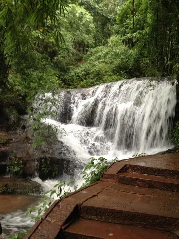 宜宾市长宁蜀南竹海,我的中国行