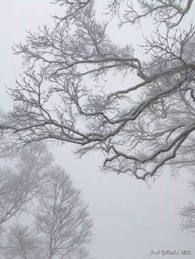 一位旅日游客，4天时间，万字长文，记录思考日本社会的崛起背后
