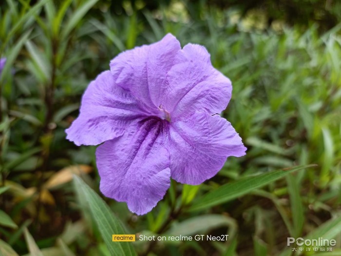 真我gtneo闪速版和真我gtneo2t,真我gtneo2t评测支持快充吗