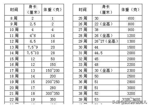 怎样让胎儿长高,生宝宝后如何让自己长高