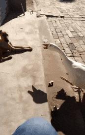 “如果这群女混混*攻围**我,我会舌战群儒!”你会怎样脱困?