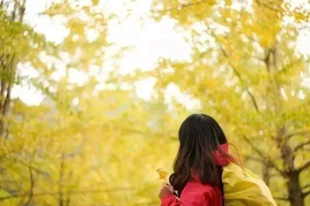 韶关碧桂园温泉酒店,韶关市碧桂园江山樾民宿