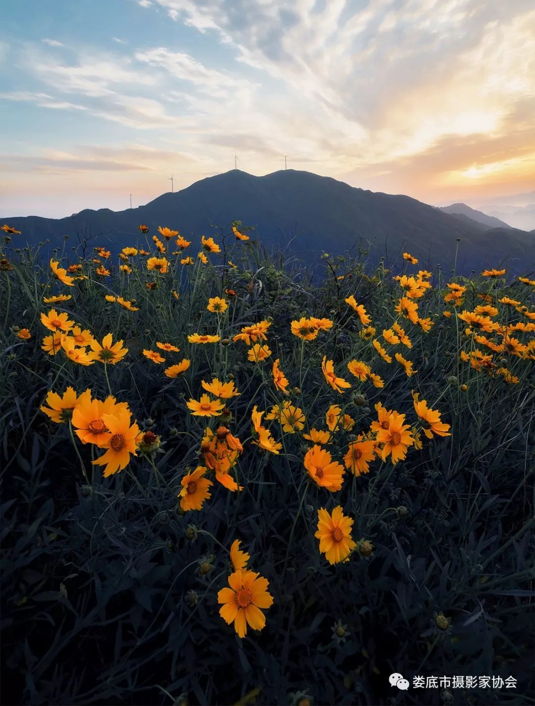 最新风景摄影小品欣赏,娄底景观小品