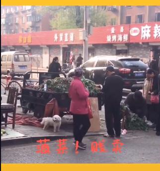 日本手办“水族馆”AquaMarine受疫情影响破产，“老婆”岌岌可危