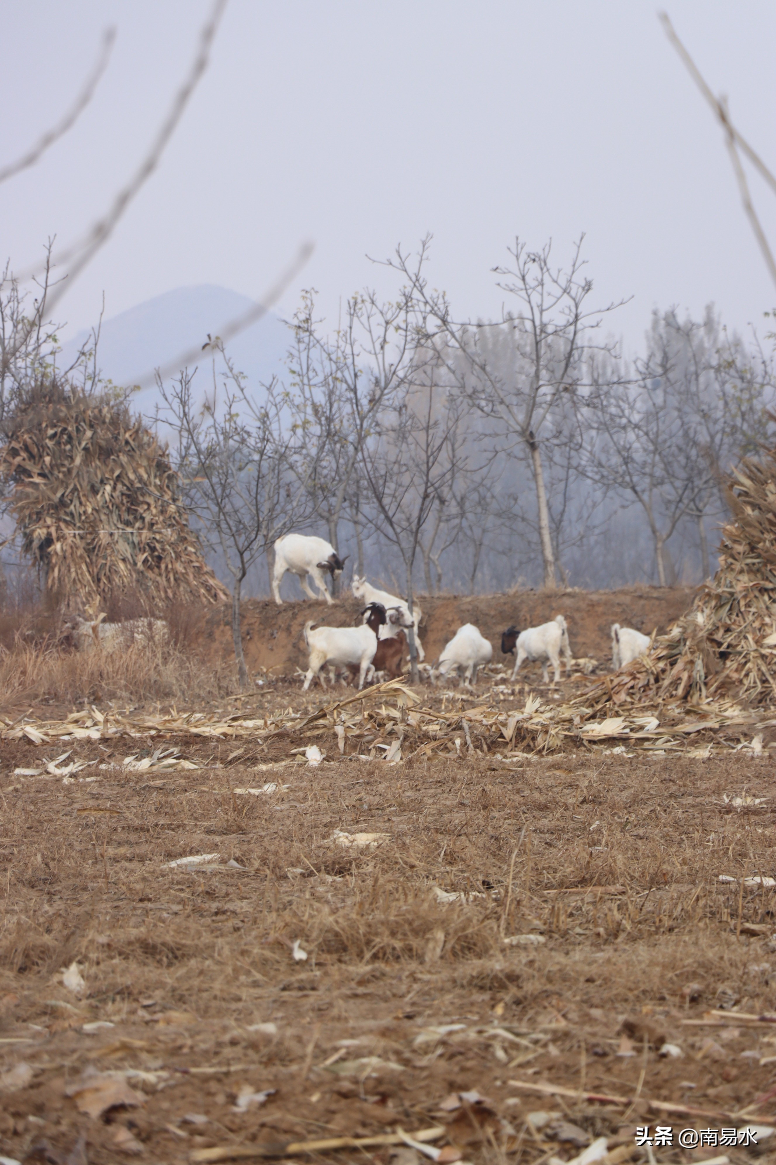家乡风景带你一起感受自然的味道,令你难以忘怀的家乡的味道
