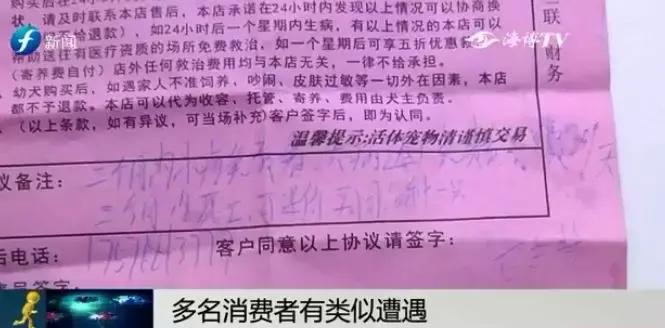 宠物狗买回来过几天病死怎么维权,厦门宠物店