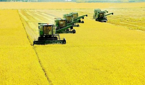 东北未来十年发展规划,东北新能源汽车发展趋势