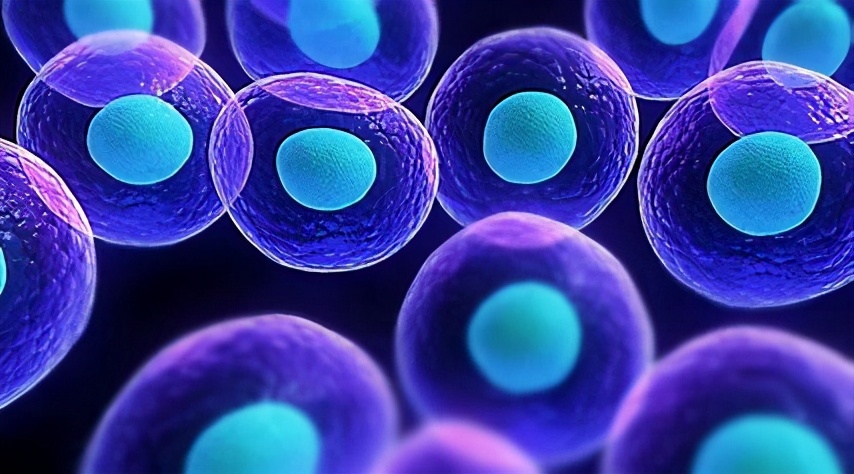 胆固醇要查什么才可以知道,胆固醇有一点点偏高医生没有开药