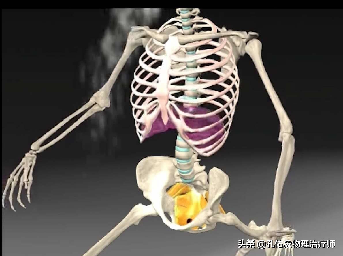健康科普学这几招缓解产后腰痛,孕晚期突然腰痛厉害是产前征兆吗