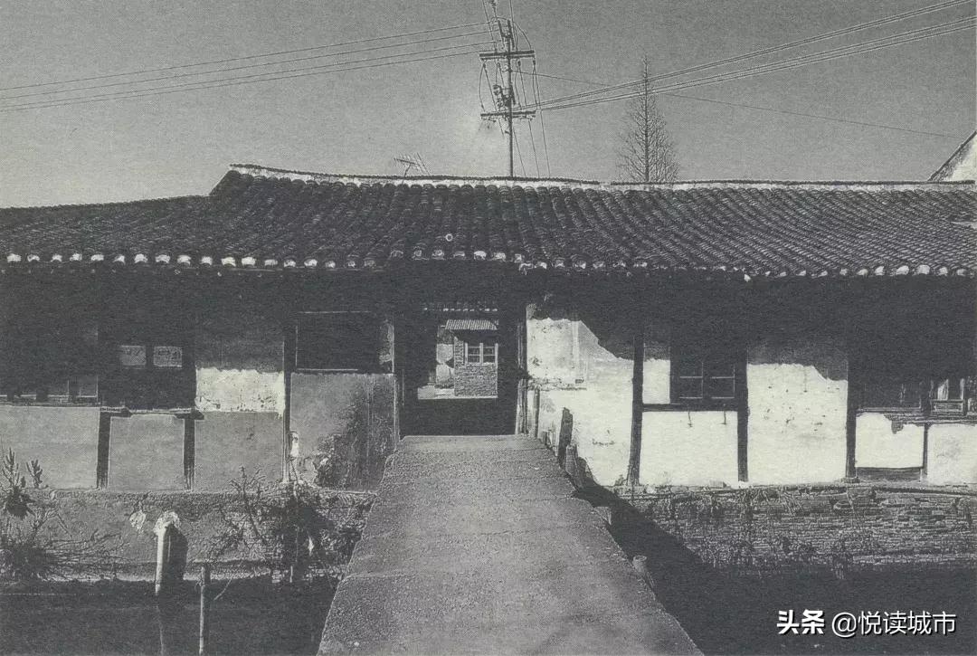 上海孙桥现代农业开发区,上海孙桥现代农业园区三个功能区