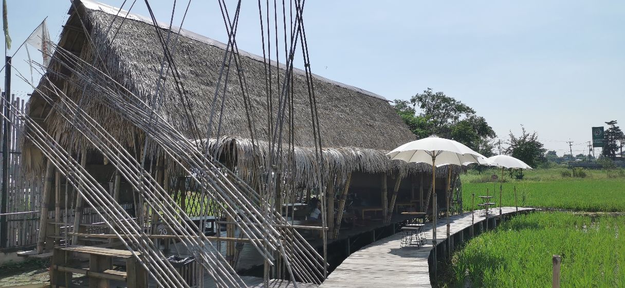 泰国北部的稻田咖啡,泰国大城府稻田咖啡厅