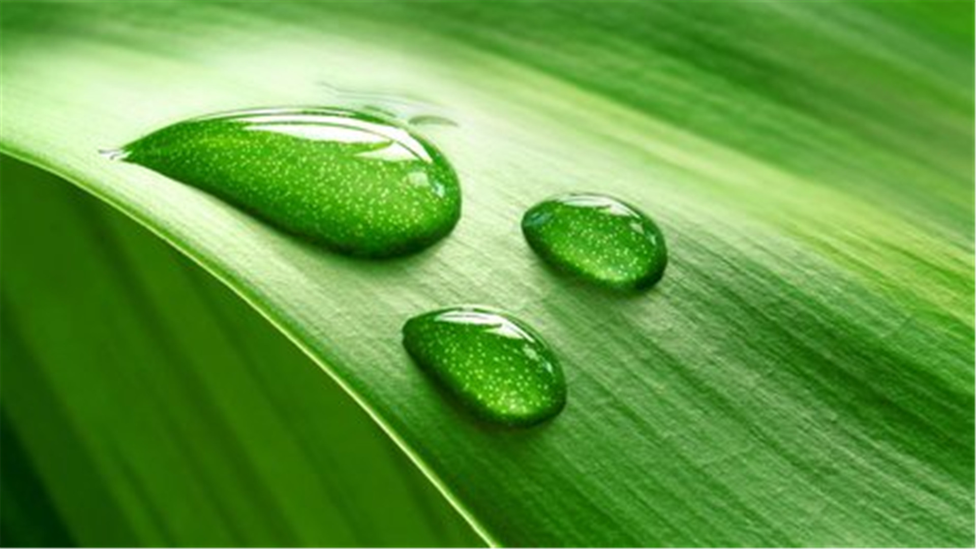 蓝色护眼壁纸唯美图片,最美的护眼桌面壁纸