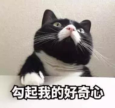 肚子上开一小口，帮您家添一人口！浅谈腹腔镜手术下卵巢功能保护