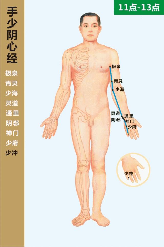 最新经络图精美3d动态循行图,经络3d动态循行图怎样制作