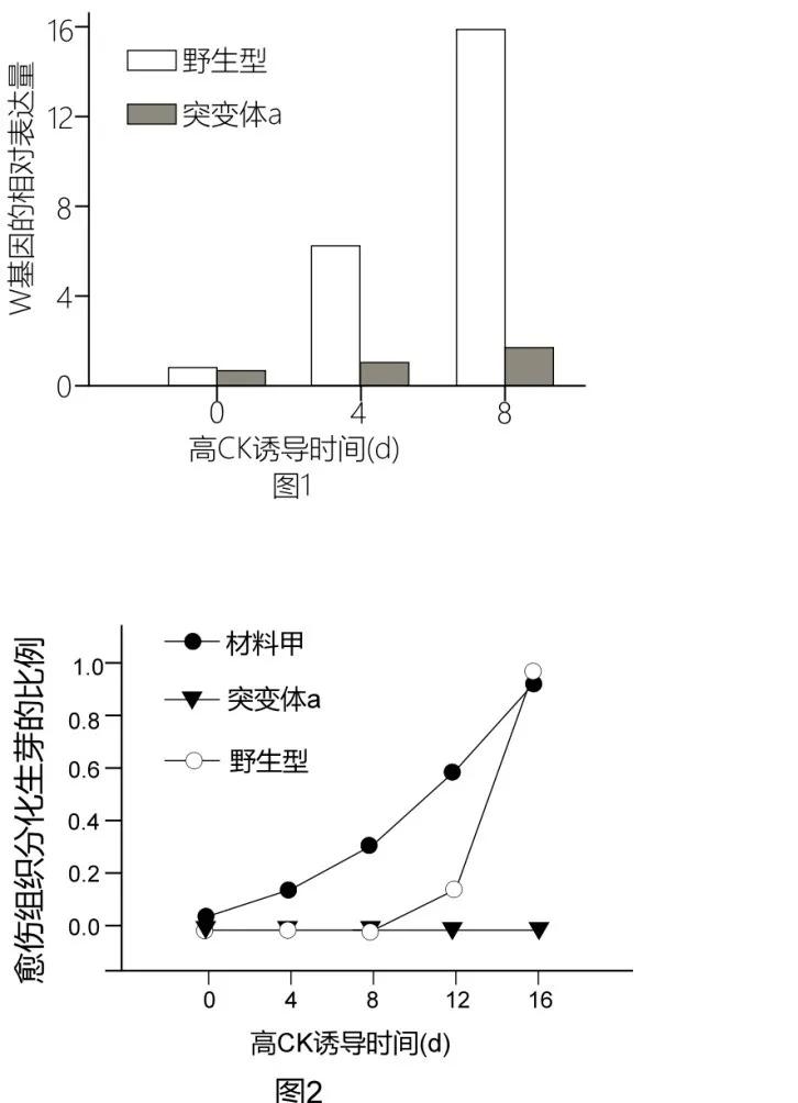 2020北京卷生物高考,北京高考生物试卷难吗