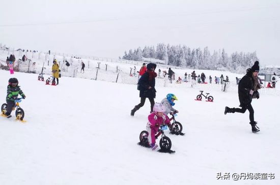 平衡车大摸底 (15款主流平衡车大摸底)