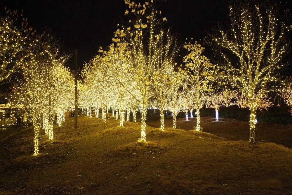 台州踏春好去处,最是一年春好处朗诵