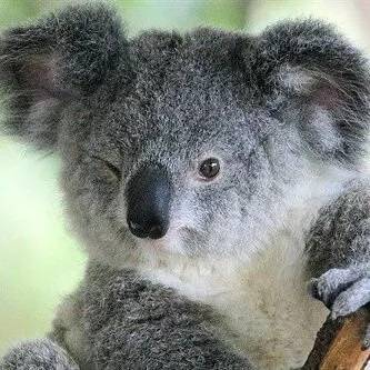 休闲羊毛绒厚外套怎么穿都好看,羊羔绒外套适合多大年纪穿女性