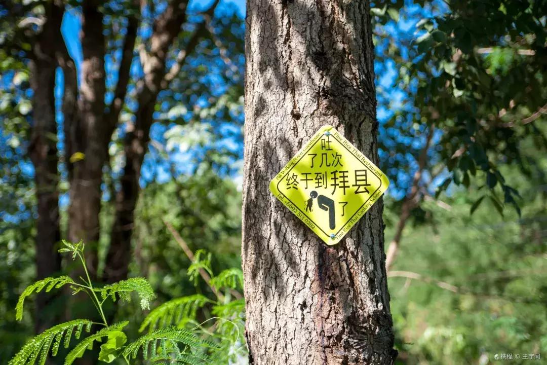 南宁到泰国旅游可以落地签吗,泰国落地签南宁