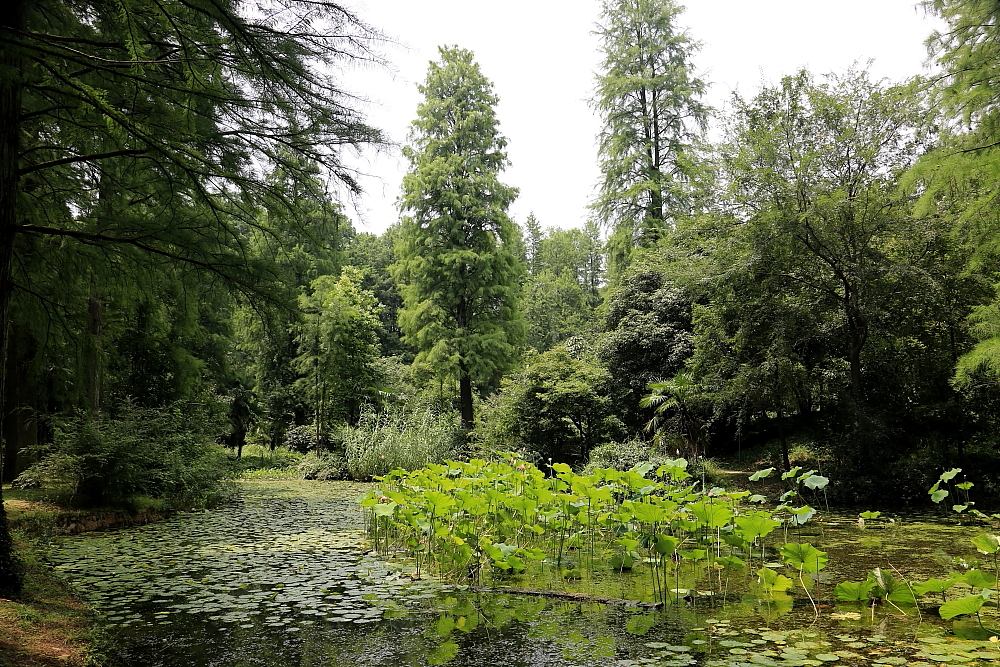 红河谷半音阶口琴独奏,12孔半音阶口琴演奏北国风光
