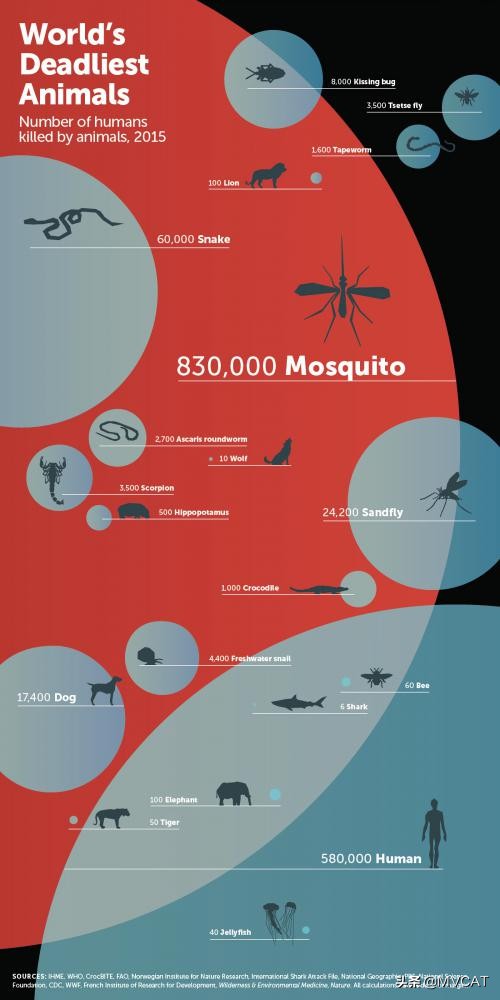 500部自然纪录片,最好看的自然纪录片