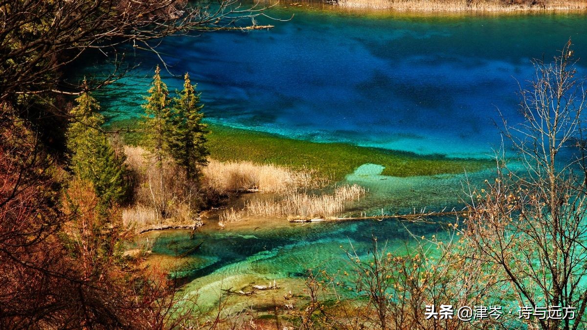 人生必须去一次张家界,人生必须要去的景区