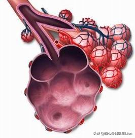体检报告说肺大泡,体检查出肺大泡这种病严重吗