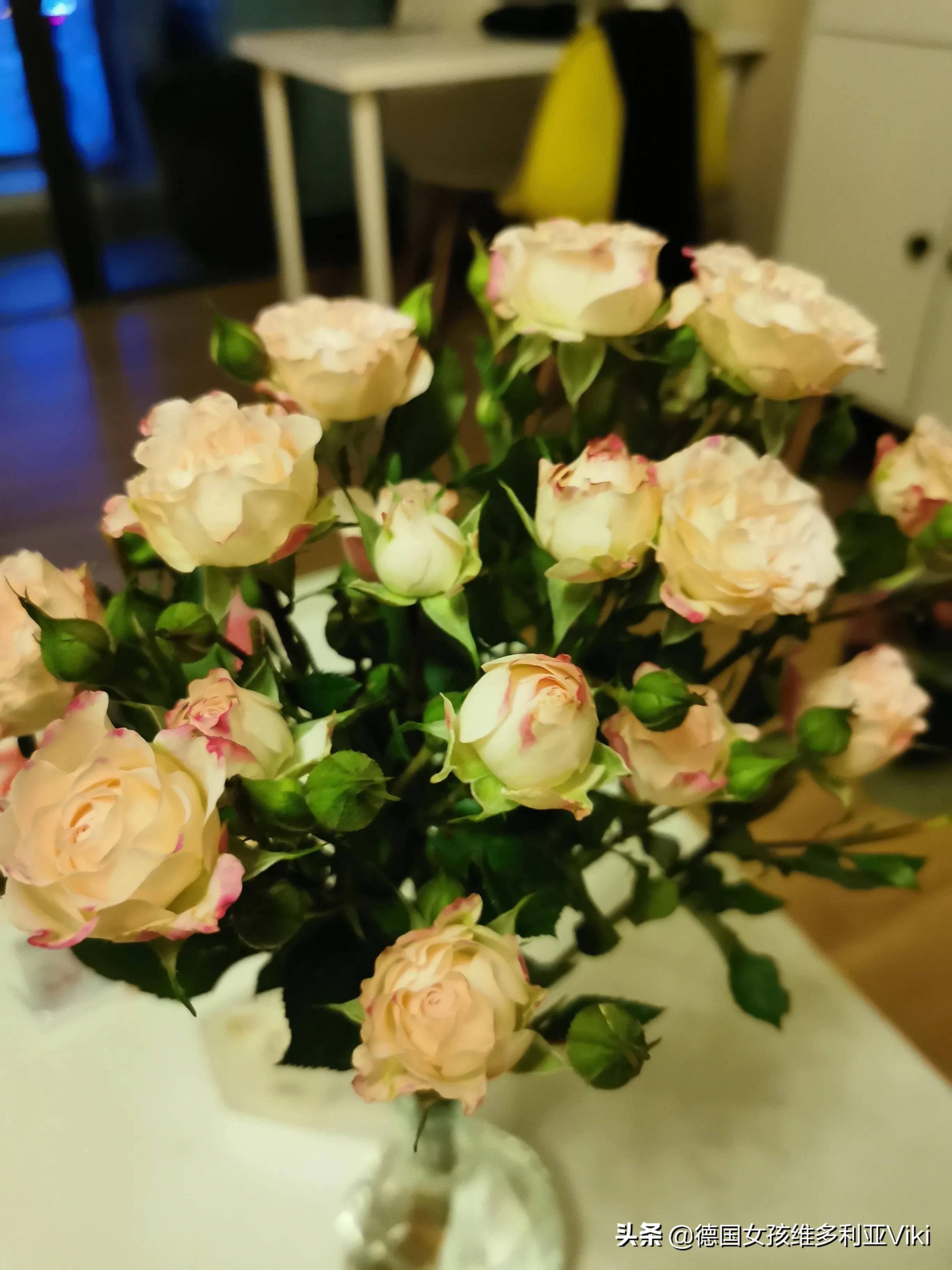 德国亚琛美女，会3国语言，喜欢中国文化，在中国找到归宿！