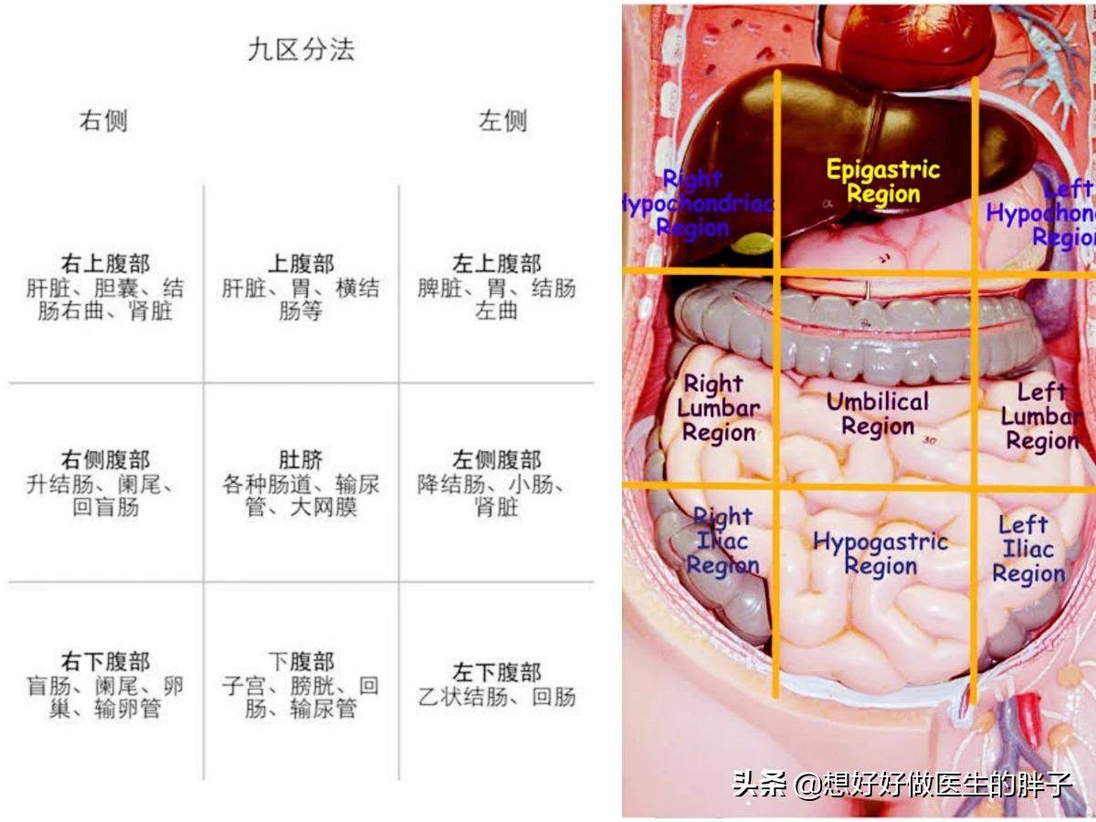 经常觉得右上腹胀,右上腹隐痛有哪些原因和治疗方法