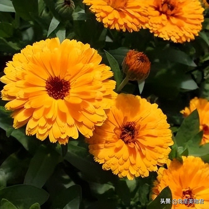 春敏的正确护肤方法是什么,春敏一定要补水吗