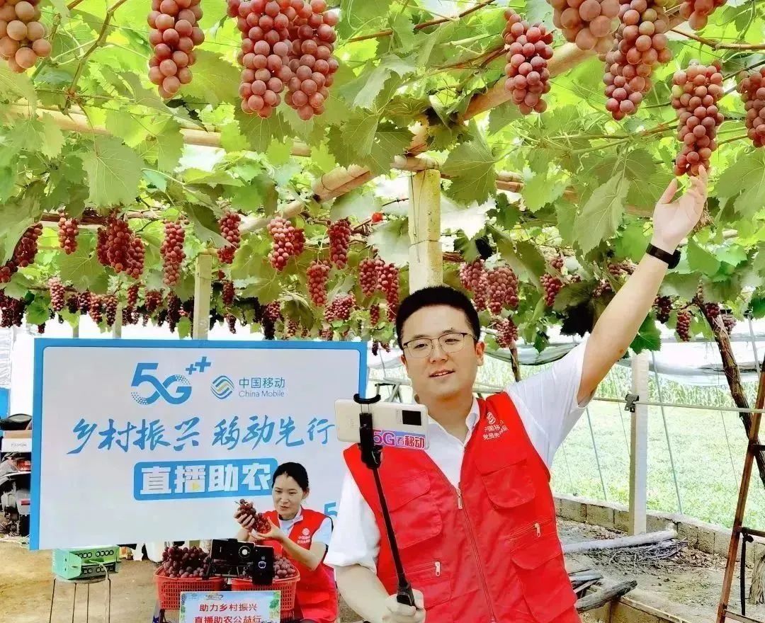 悬念揭晓在即,悬念揭晓视频