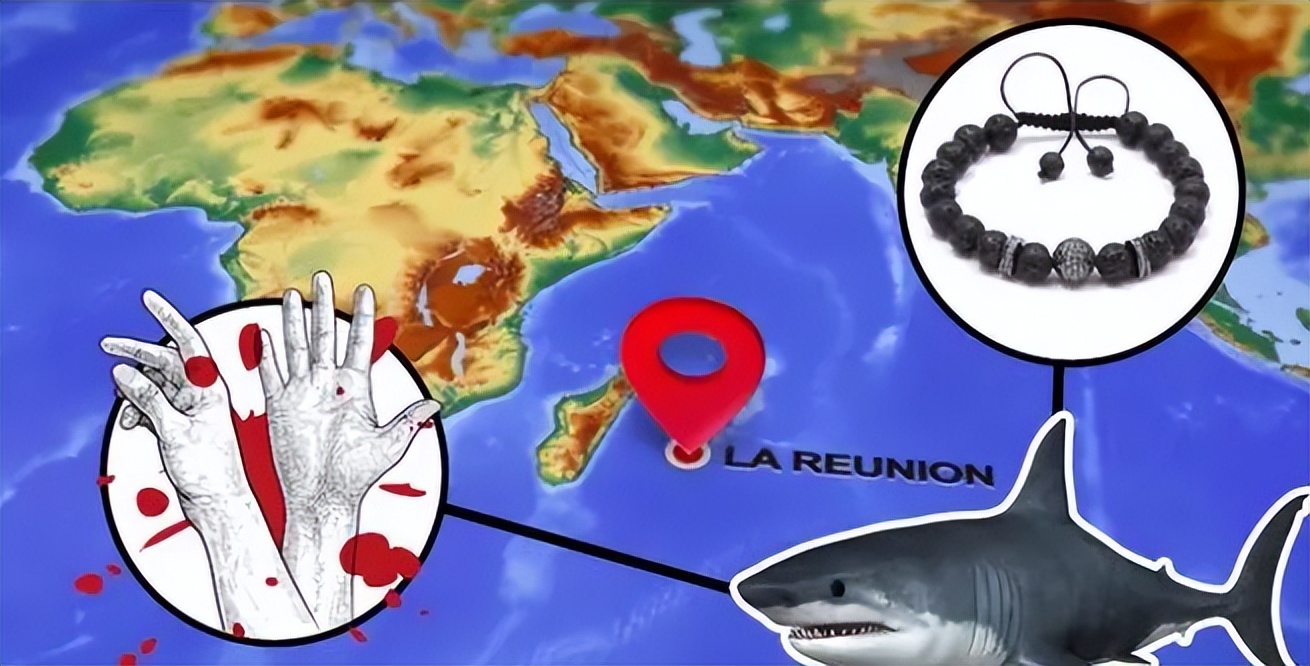 文胸、高尔夫、炮弹、珍珠、*物文**，盘点这些从动物肚里发现的东西