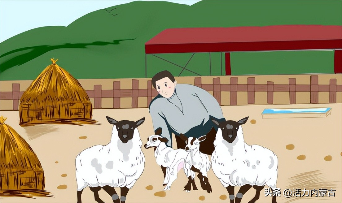 这场“羊”运会，内蒙古申请出战！