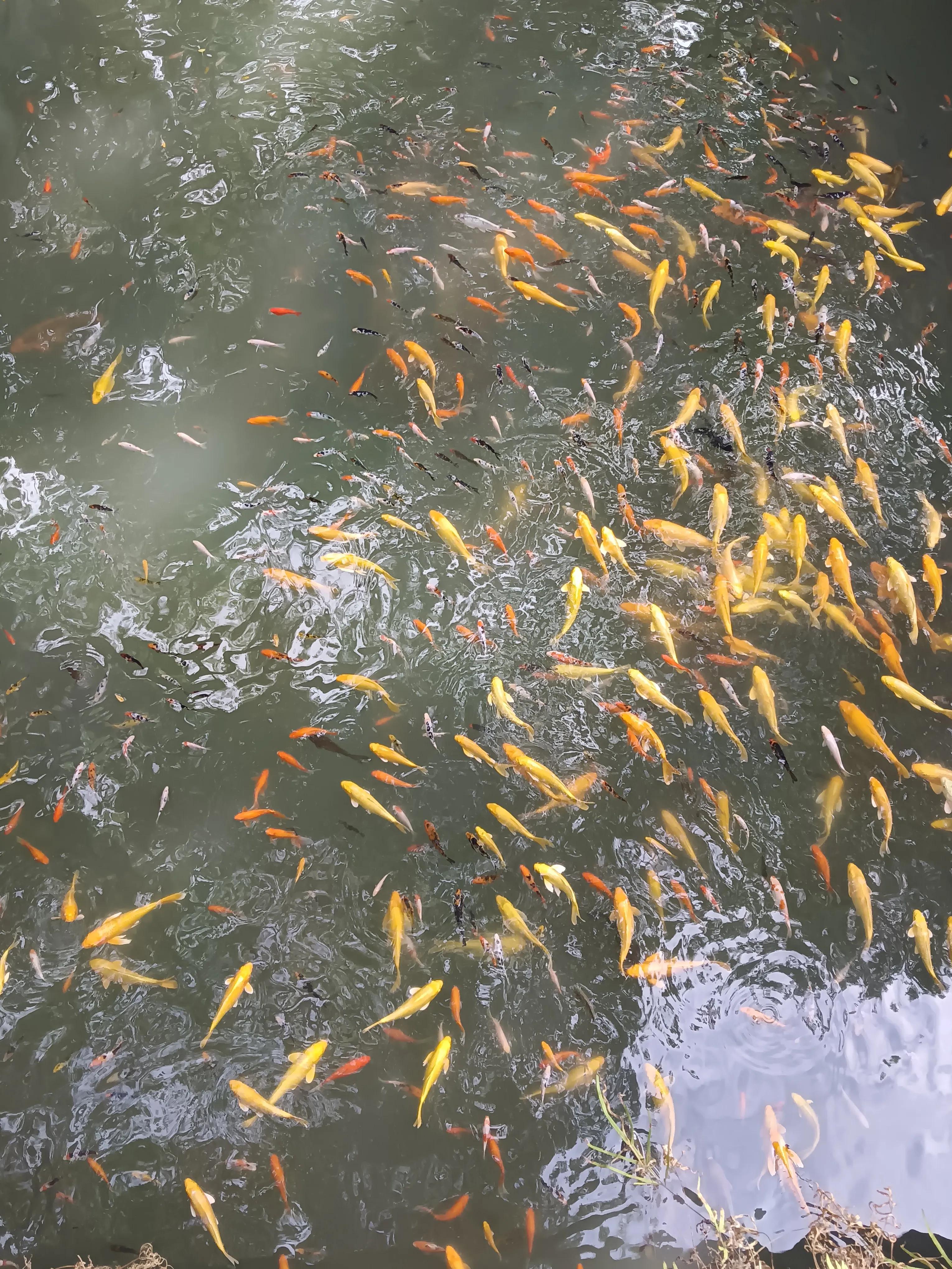 顾太健最新文章,顾太健视频