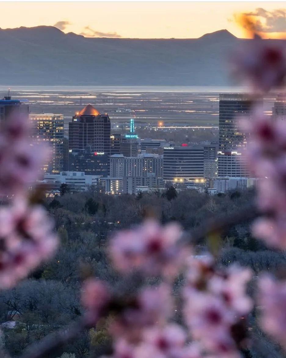 抢不到冰墩墩是什么梗,冬奥会冰墩墩2022