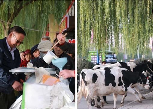 酸奶吧加盟项目怎么样,酸奶吧加盟