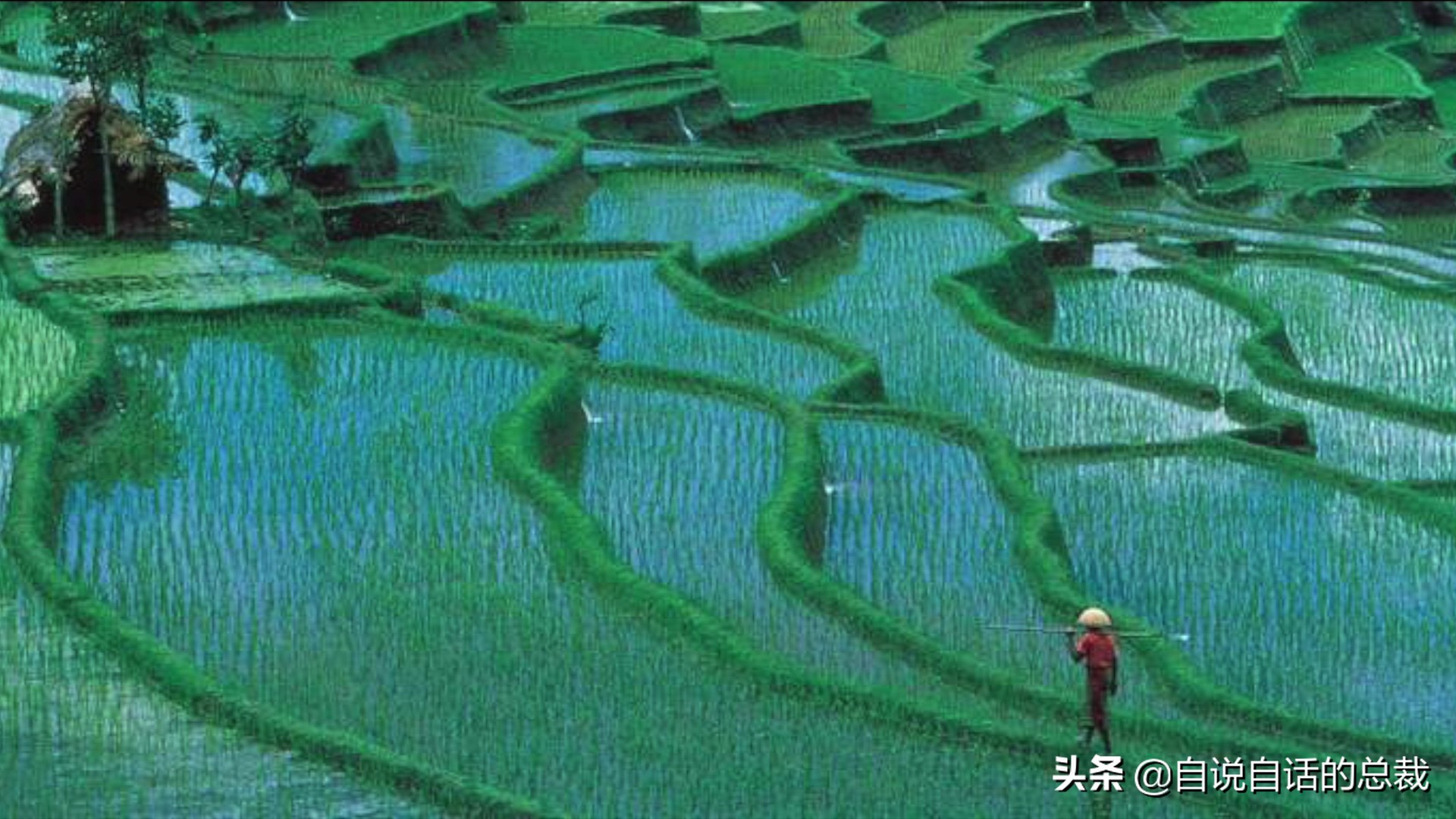 元宇宙给我们带来的影响,元宇宙对普通生活的影响