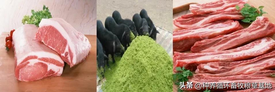 土猪市场可行性分析,土猪市场行情