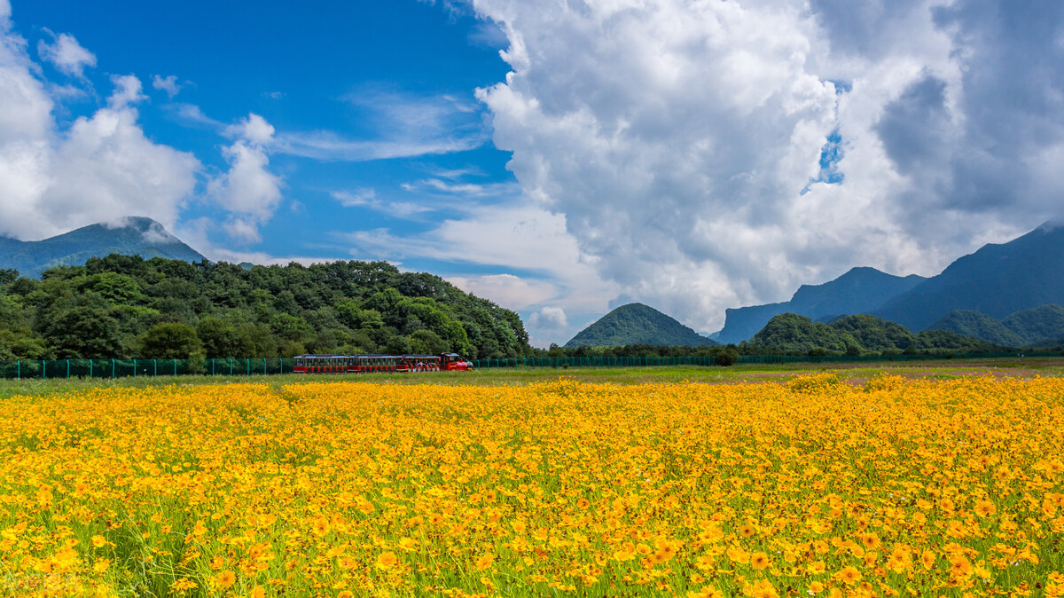 人生的最大遗憾遇见了最爱的人,人生最重要的是和喜欢的人一起