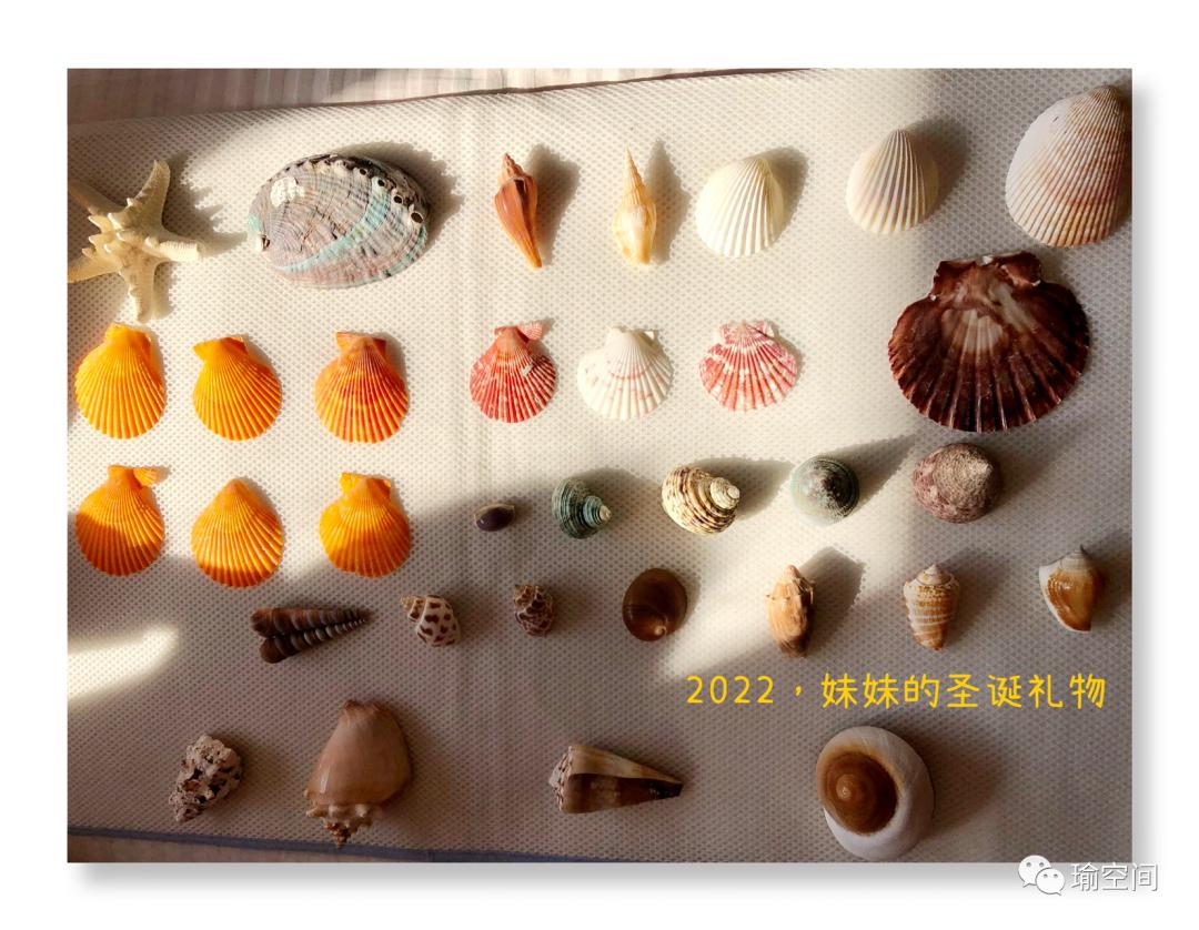 新年第一天，新象迎未来