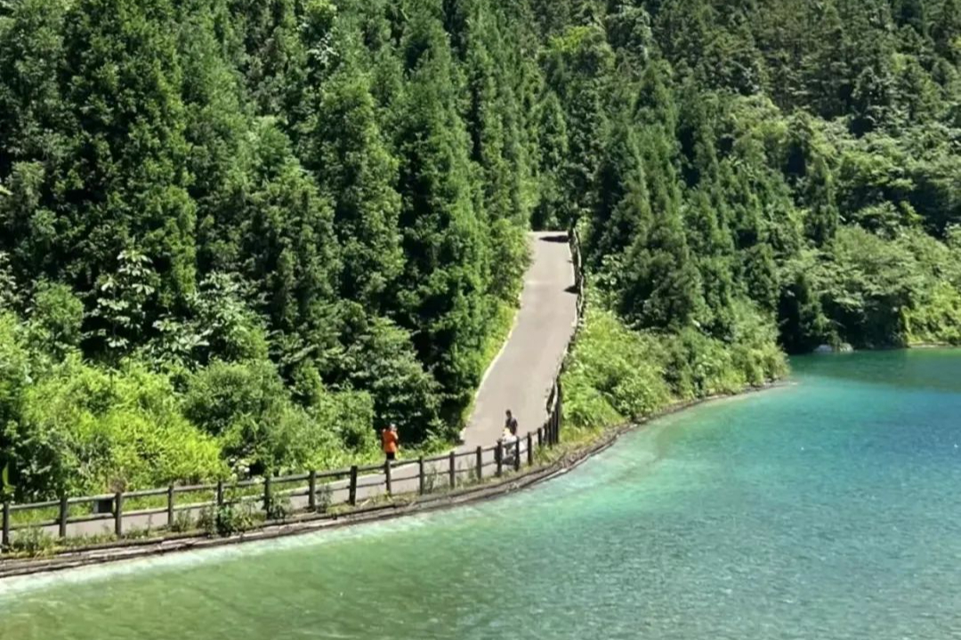 重庆茶山竹海国家森林公园避暑,重庆适合亲子游2天一晚避暑