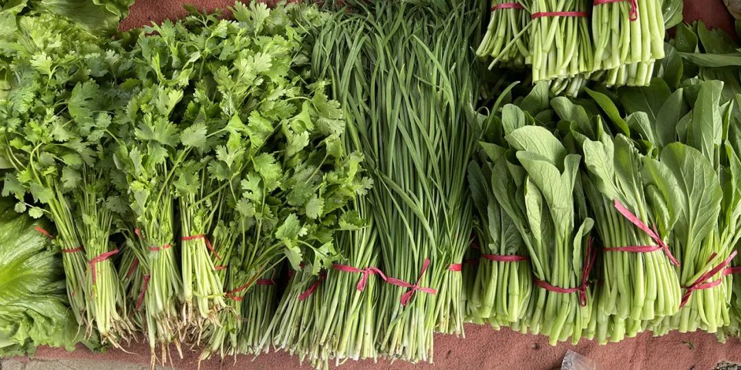 又到做西红柿酱的季节,什么季节做西红柿酱呢