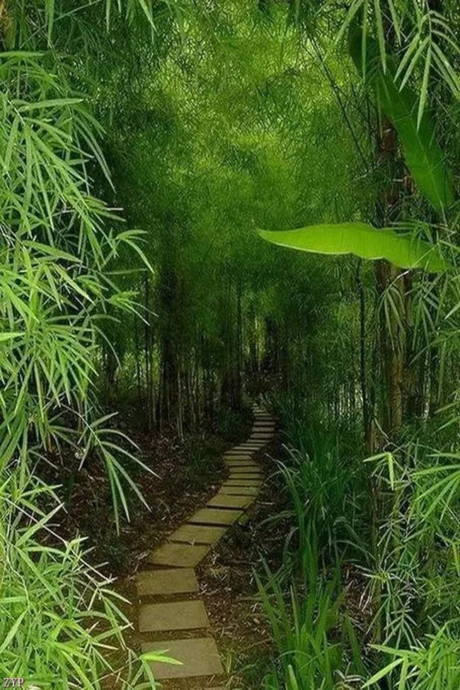 太美了100个世界级美景,全球100张绝世美景