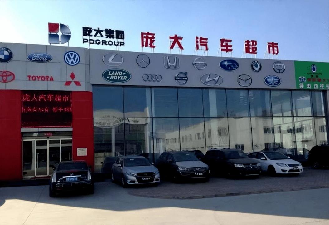 退市庞大为何卖不出,庞大退市几率有多大