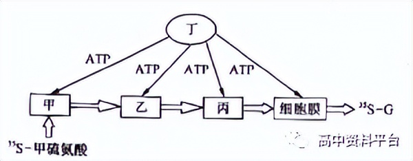 2024河南强基联盟3月联考高二,2024九省联考河南生物试卷及答案