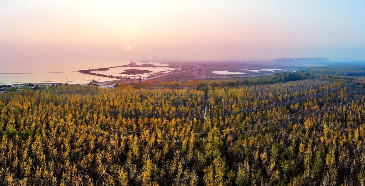 合肥十大爬山景点排名一览表,合肥十大最好玩的景点