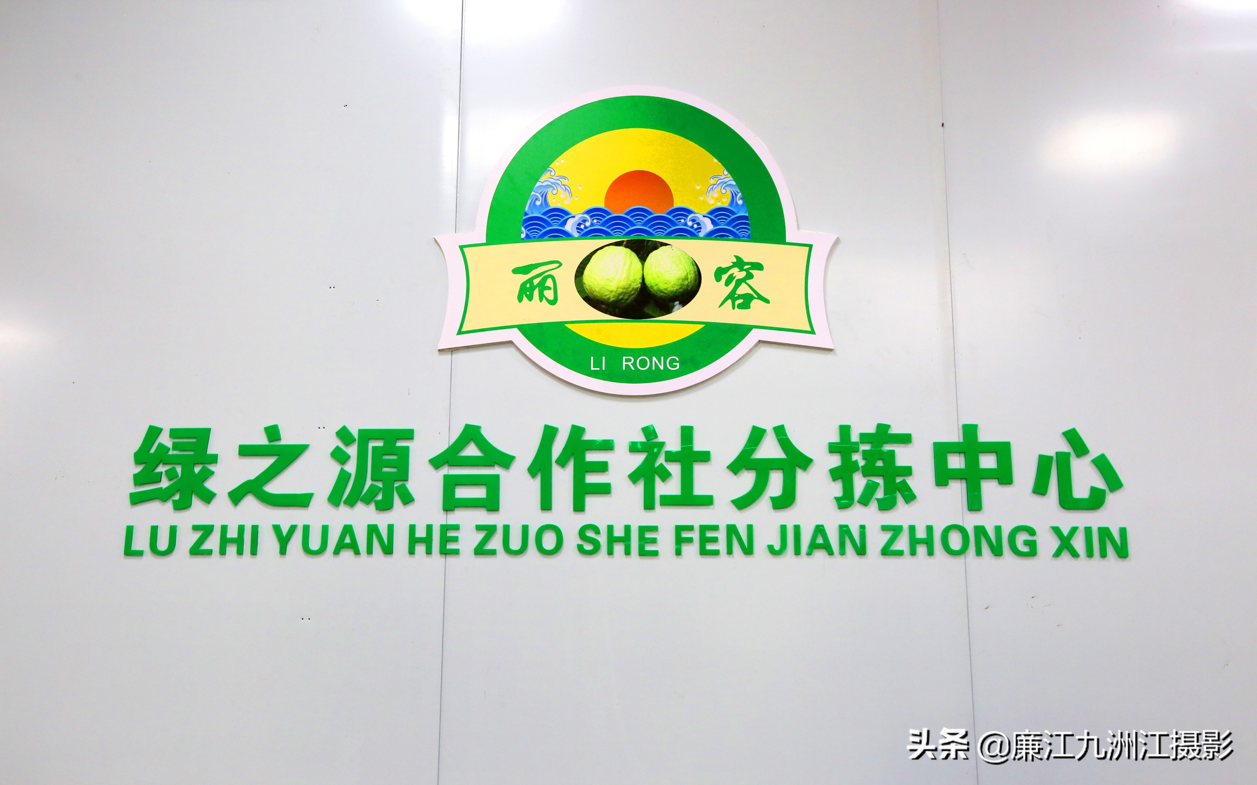 廉江吉水绿之源合作社,廉江市绿之渌分拣中心