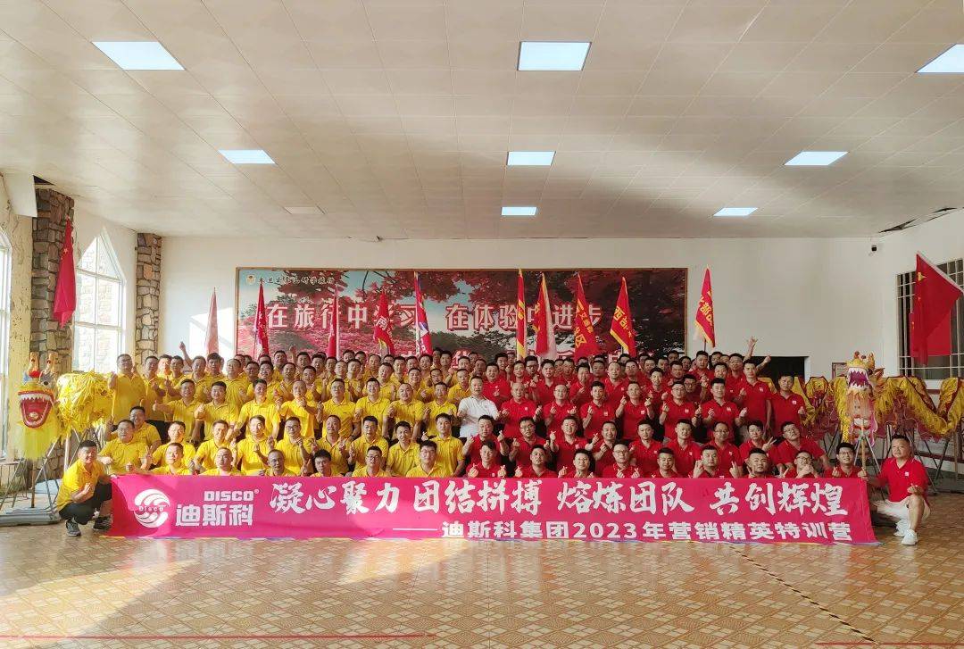 迪斯科集团,迪斯科集团公司